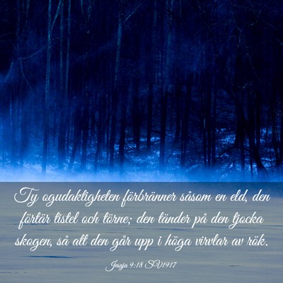 Picture 03 - Jesaja 9:18 SV1917 - Ty ogudaktigheten förbränner såsom en eld, den - Bible Verse Picture