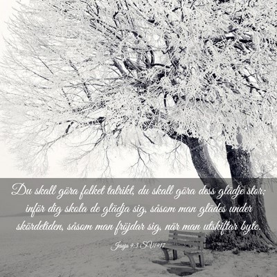 Picture 03 - Jesaja 9:3 SV1917 - Du skall göra folket talrikt, du skall göra - Bible Verse Picture