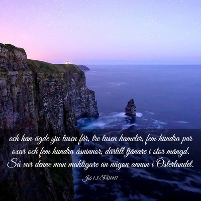 Picture 03 - Job 1:3 SV1917 - och han ägde sju tusen får, tre tusen kameler, - Bible Verse Picture