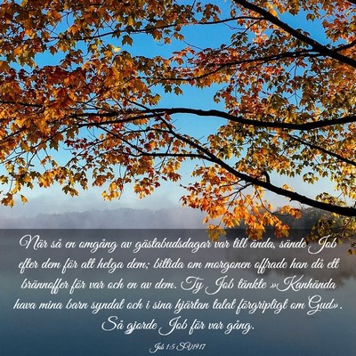 Picture 03 - Job 1:5 SV1917 - När så en omgång av gästabudsdagar var till - Bible Verse Picture