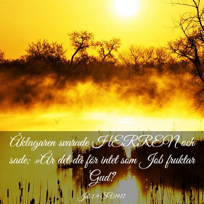 Picture 03 - Job 1:9 SV1917 - Åklagaren svarade HERREN och sade: »Är det då - Bible Verse Picture