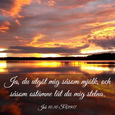 Picture 03 - Job 10:10 SV1917 - Ja, du utgöt mig såsom mjölk, och såsom - Bible Verse Picture