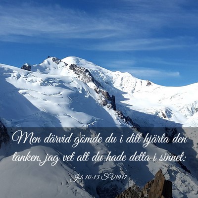 Picture 03 - Job 10:13 SV1917 - Men därvid gömde du i ditt hjärta den tanken, - Bible Verse Picture