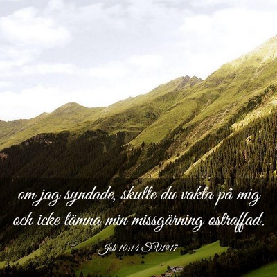Picture 03 - Job 10:14 SV1917 - om jag syndade, skulle du vakta på mig och icke - Bible Verse Picture