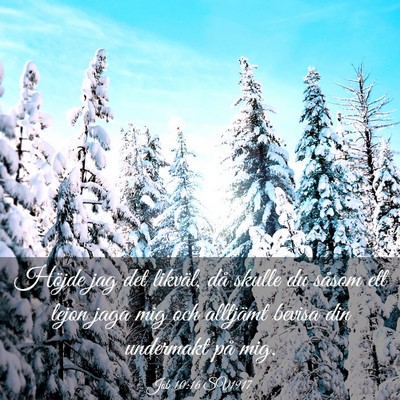 Picture 03 - Job 10:16 SV1917 - Höjde jag det likväl, då skulle du såsom ett - Bible Verse Picture