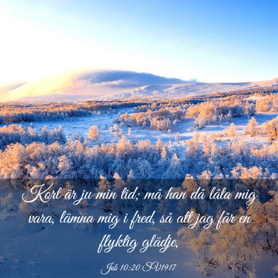 Picture 03 - Job 10:20 SV1917 - Kort är ju min tid; må han då låta mig vara, - Bible Verse Picture
