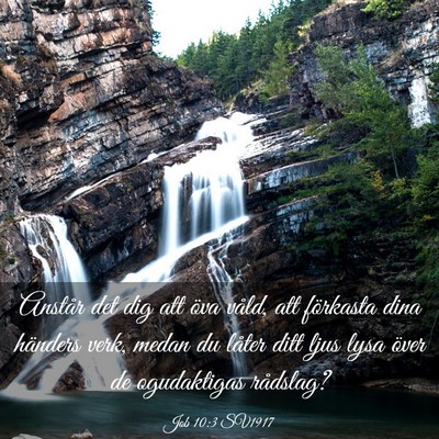 Picture 03 - Job 10:3 SV1917 - Anstår det dig att öva våld, att förkasta - Bible Verse Picture