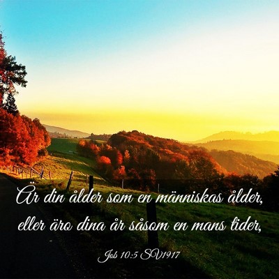 Picture 03 - Job 10:5 SV1917 - Är din ålder som en människas ålder, eller - Bible Verse Picture