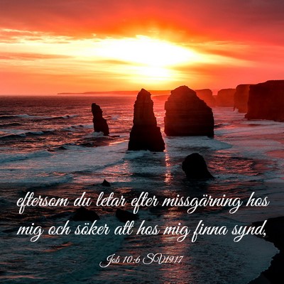 Picture 03 - Job 10:6 SV1917 - eftersom du letar efter missgärning hos mig och - Bible Verse Picture