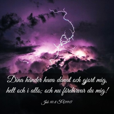 Picture 03 - Job 10:8 SV1917 - Dina händer hava danat och gjort mig, helt och i - Bible Verse Picture
