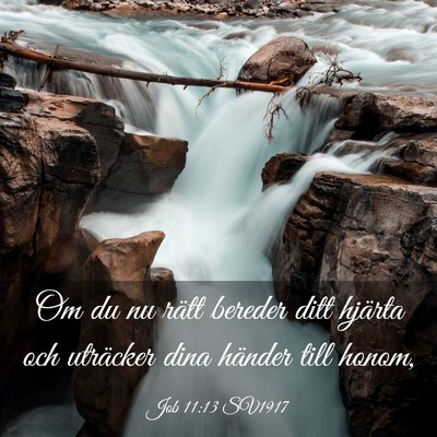 Picture 03 - Job 11:13 SV1917 - Om du nu rätt bereder ditt hjärta och uträcker - Bible Verse Picture