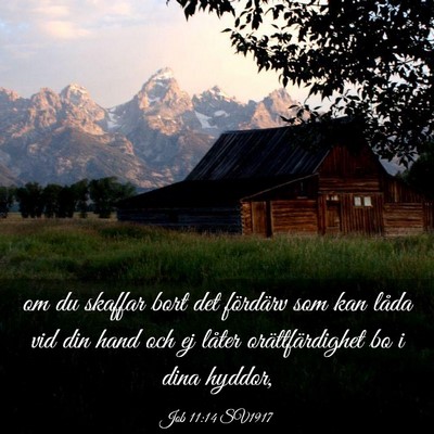 Picture 03 - Job 11:14 SV1917 - om du skaffar bort det fördärv som kan låda - Bible Verse Picture