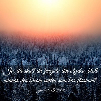 Picture 03 - Job 11:16 SV1917 - Ja, då skall du förgäta din olycka, blott - Bible Verse Picture