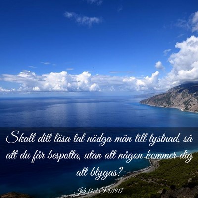 Picture 03 - Job 11:3 SV1917 - Skall ditt lösa tal nödga män till tystnad, - Bible Verse Picture