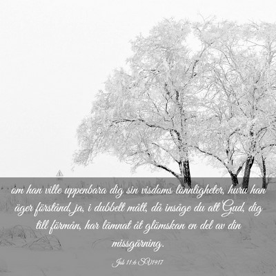 Picture 03 - Job 11:6 SV1917 - om han ville uppenbara dig sin visdoms - Bible Verse Picture