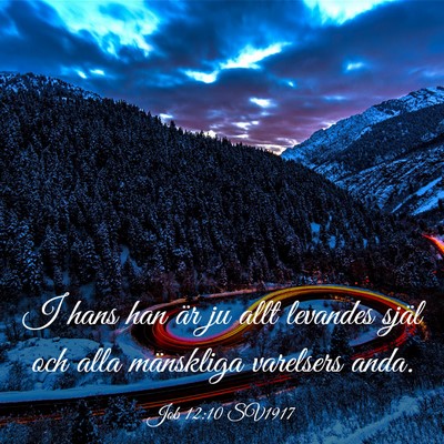 Picture 03 - Job 12:10 SV1917 - I hans han är ju allt levandes själ och alla - Bible Verse Picture