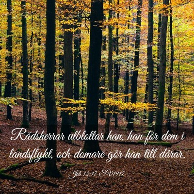Picture 03 - Job 12:17 SV1917 - Rådsherrar utblottar han, han för dem i - Bible Verse Picture