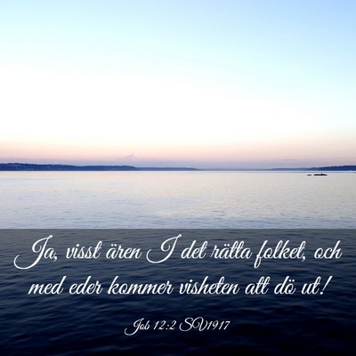 Picture 03 - Job 12:2 SV1917 - Ja, visst ären I det rätta folket, och med eder - Bible Verse Picture
