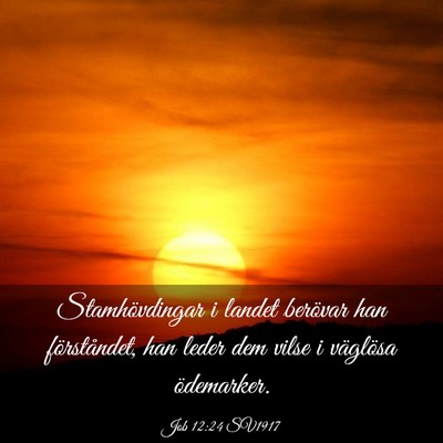 Picture 03 - Job 12:24 SV1917 - Stamhövdingar i landet berövar han - Bible Verse Picture