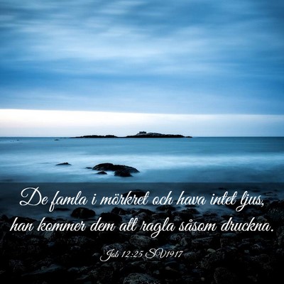 Picture 03 - Job 12:25 SV1917 - De famla i mörkret och hava intet ljus, han - Bible Verse Picture