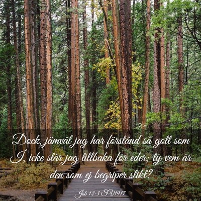 Picture 03 - Job 12:3 SV1917 - Dock, jämväl jag har förstånd så gott som I, - Bible Verse Picture