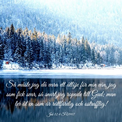 Picture 03 - Job 12:4 SV1917 - Så måste jag då vara ett åtlöje för min - Bible Verse Picture