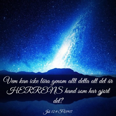Picture 03 - Job 12:9 SV1917 - Vem kan icke lära genom allt detta att det är - Bible Verse Picture