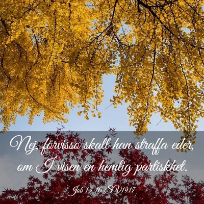 Picture 03 - Job 13:10 SV1917 - Nej, förvisso skall han straffa eder, om I visen - Bible Verse Picture
