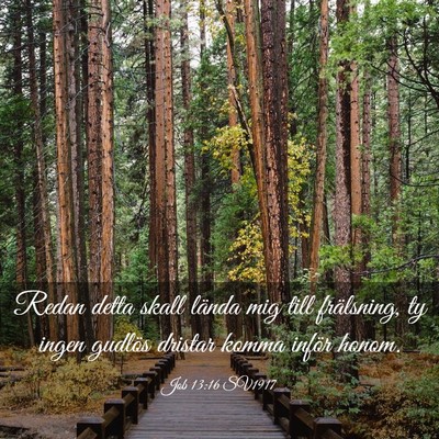 Picture 03 - Job 13:16 SV1917 - Redan detta skall lända mig till frälsning, ty - Bible Verse Picture