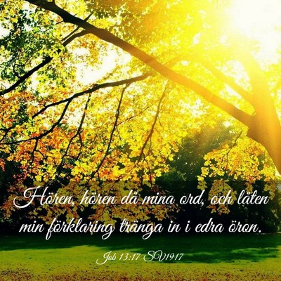 Picture 03 - Job 13:17 SV1917 - Hören, hören då mina ord, och låten min - Bible Verse Picture