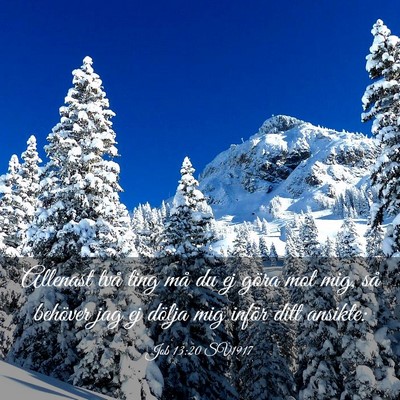 Picture 03 - Job 13:20 SV1917 - Allenast två ting må du ej göra mot mig, så - Bible Verse Picture
