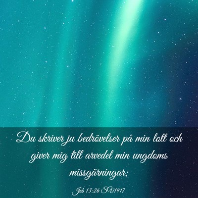 Picture 03 - Job 13:26 SV1917 - Du skriver ju bedrövelser på min lott och giver - Bible Verse Picture