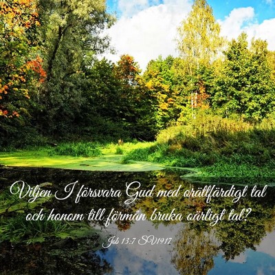Picture 03 - Job 13:7 SV1917 - Viljen I försvara Gud med orättfärdigt tal och - Bible Verse Picture