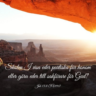 Picture 03 - Job 13:8 SV1917 - Skolen I visa eder partiska för honom eller - Bible Verse Picture