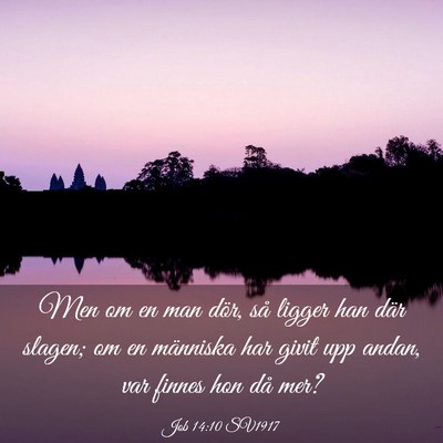 Picture 03 - Job 14:10 SV1917 - Men om en man dör, så ligger han där slagen; - Bible Verse Picture