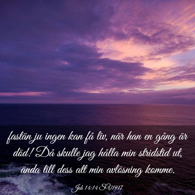 Picture 03 - Job 14:14 SV1917 - fastän ju ingen kan få liv, när han en gång - Bible Verse Picture