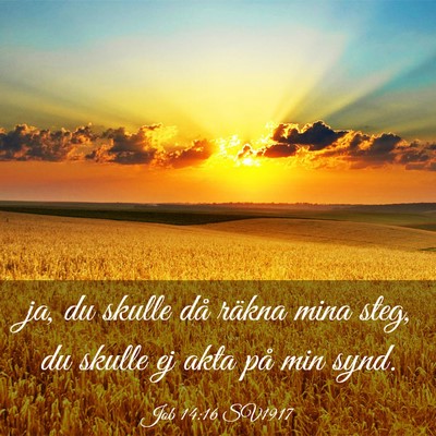 Picture 03 - Job 14:16 SV1917 - ja, du skulle då räkna mina steg, du skulle ej - Bible Verse Picture