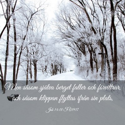 Picture 03 - Job 14:18 SV1917 - Men såsom själva berget faller och förvittrar, - Bible Verse Picture