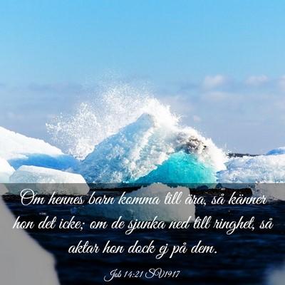 Picture 03 - Job 14:21 SV1917 - Om hennes barn komma till ära, så känner hon - Bible Verse Picture