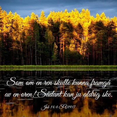 Picture 03 - Job 14:4 SV1917 - Som om en ren skulle kunna framgå av en oren! - Bible Verse Picture