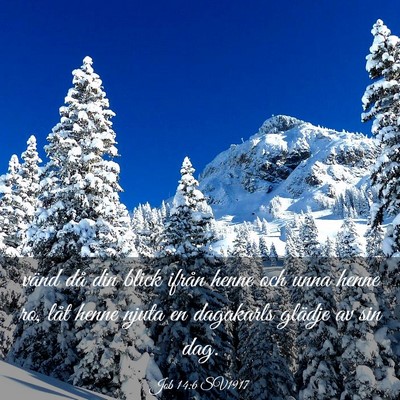Picture 03 - Job 14:6 SV1917 - vänd då din blick ifrån henne och unna henne - Bible Verse Picture