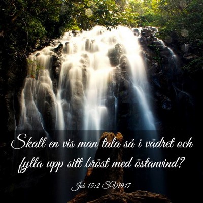 Picture 03 - Job 15:2 SV1917 - Skall en vis man tala så i vädret och fylla upp - Bible Verse Picture
