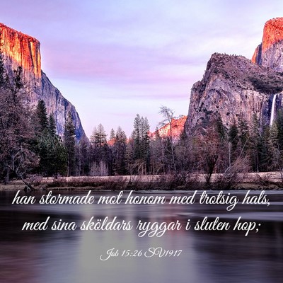 Picture 03 - Job 15:26 SV1917 - han stormade mot honom med trotsig hals, med sina - Bible Verse Picture