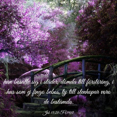 Picture 03 - Job 15:28 SV1917 - han bosatte sig i städer, dömda till - Bible Verse Picture