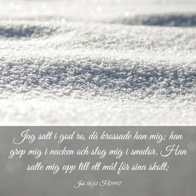 Picture 03 - Job 16:12 SV1917 - Jag satt i god ro, då krossade han mig; han grep - Bible Verse Picture