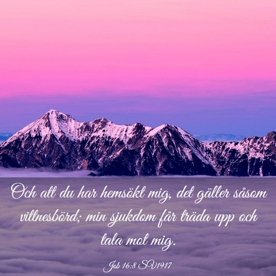 Picture 03 - Job 16:8 SV1917 - Och att du har hemsökt mig, det gäller såsom - Bible Verse Picture