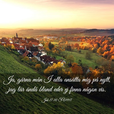 Picture 03 - Job 17:10 SV1917 - Ja, gärna mån I alla ansätta mig på nytt, jag - Bible Verse Picture