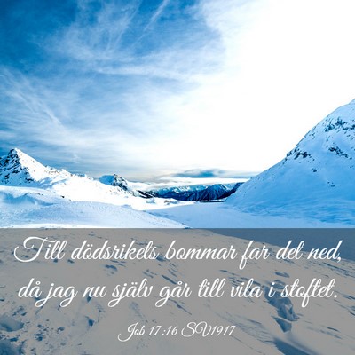 Picture 03 - Job 17:16 SV1917 - Till dödsrikets bommar far det ned, då jag nu - Bible Verse Picture