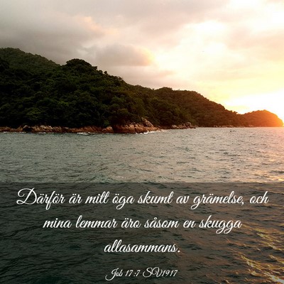 Picture 03 - Job 17:7 SV1917 - Därför är mitt öga skumt av grämelse, och - Bible Verse Picture