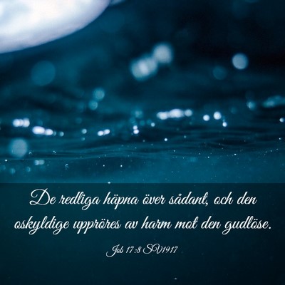 Picture 03 - Job 17:8 SV1917 - De redliga häpna över sådant, och den - Bible Verse Picture